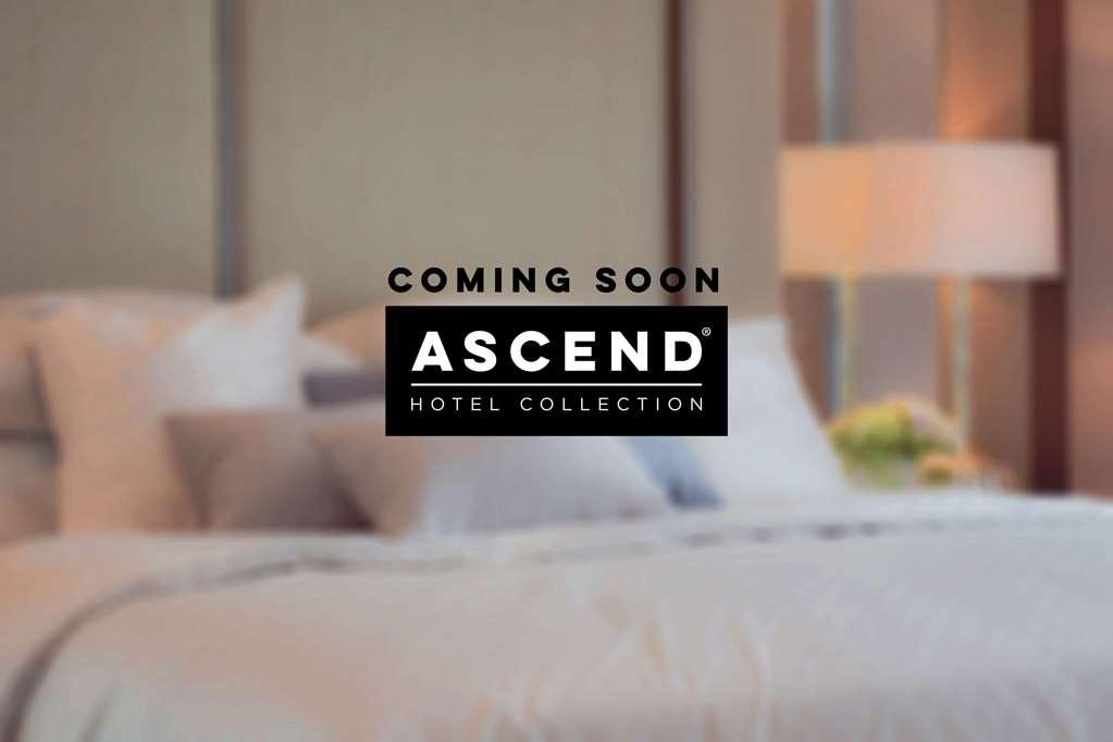 Mayfair Hotel, Ascend Hotel Collection New York Dış mekan fotoğraf